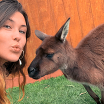 Kangaroo Selfie