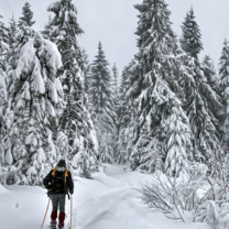 Backcountry Skiing