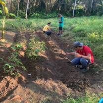 Permaculture
