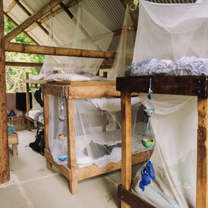 Permaculture