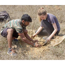 Planting trees in India