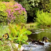 Froebel Lake with ducks