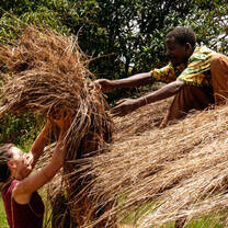 Humanitarian Project in Africa