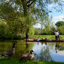 Students punting on the River Cherwell with green fields in the background
