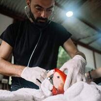 Vet with macaw