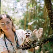 Baby squirrel monkey