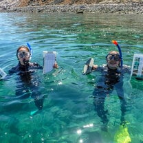 Snorkeling data collection