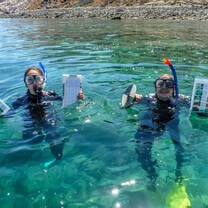 Snorkeling data collection