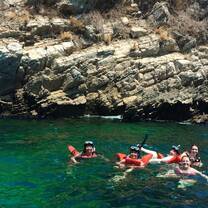 Students scuba diving for an excusion