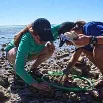 Collecting data in the tidal zone