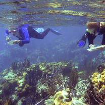 Student collect data while snorkeling