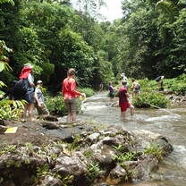 Collecting stream ecology data