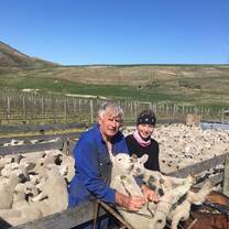 A farmer and worker herd sheep