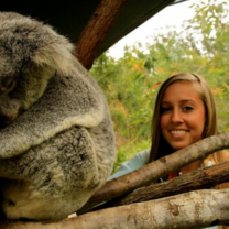 The animals of Australia