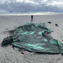 Cleaning the Coastline