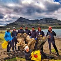 Volunteers in Action!