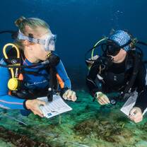 Completing a coral survey from Nusa Lembongan, Bali, Indonesia