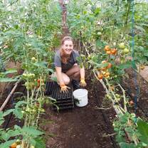 Feeling happy growing up tomatoes