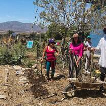 Students creating fresh garden spaces