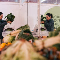 Help people by managing a foodbank