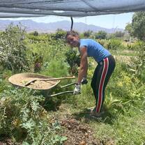 One of our french students preparing an instant garden
