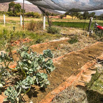 upgrading garden spaces