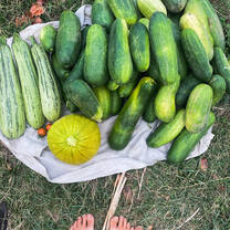 an abundance