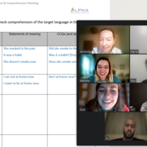 CELTA input session - CCQs
