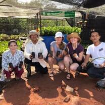 mangrove project