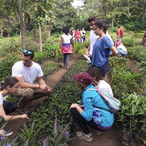 Volunteers planting