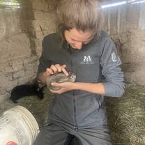 Special time with the baby rabbits, aka kits