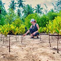 Planting Mangroves in Southern Zanzibar as part of the Mother Nature Zanzibar program