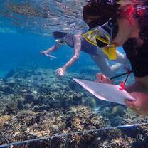 Coral Reef Monitoring as a program activity of Mother Nature Zanzibar