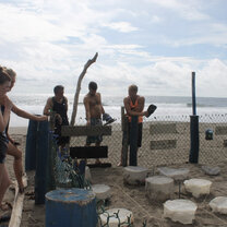turtle conservation