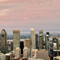 City