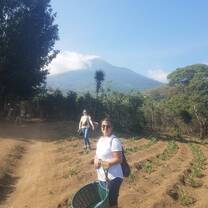 farming project