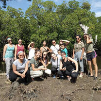 mangrove project