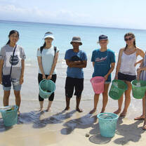 Turtle project