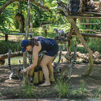 Lemur conservation