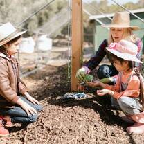 Au Pair in Ireland no a farm