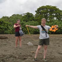 turtle conservation