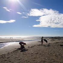 beach cleaning impression