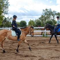 Horse ranch placement