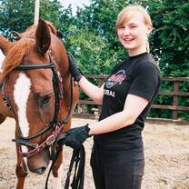 Work at a horse stable
