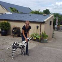 Look after animals on a farm in Ireland