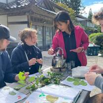 Mother Nature program: Volunteering on Sado Island