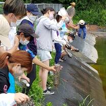 Mother Nature program: Volunteering on Sado Island