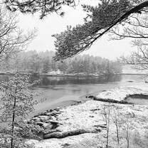 Seguinland Campus During Wintering: View from Great Room