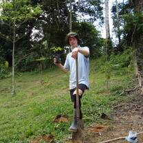 volunteer at work