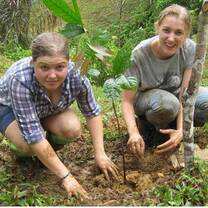 Volunteers at work